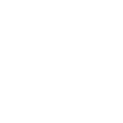 Salesforce Logo